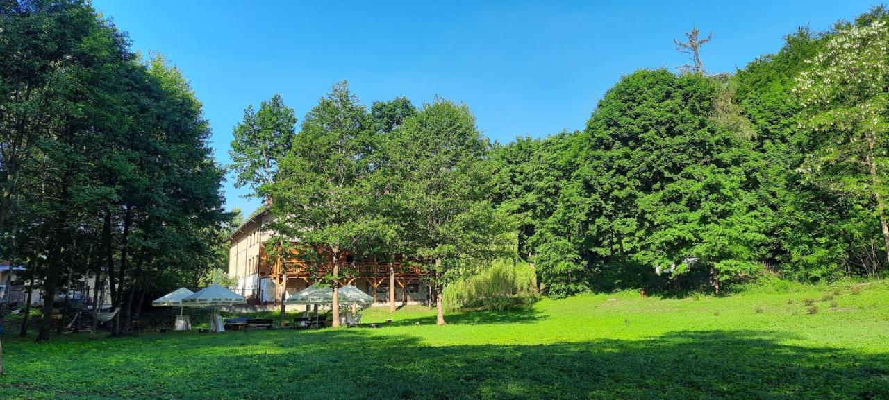 Zloty Jelen - Restauracja I Dom Goscinny Potok Zloty Dış mekan fotoğraf